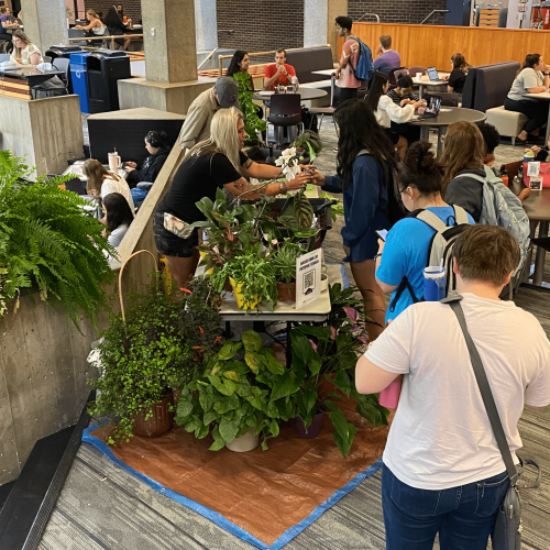 UNI Botanical Center teaching plant propagation to students in Maucker Union